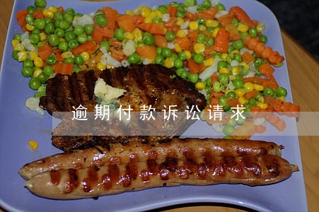 逾期付款诉讼请求 逾期付款诉讼请求
