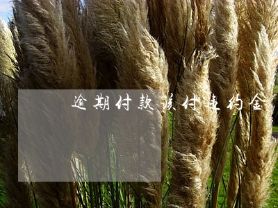 逾期付款该付违约金 逾期付款该付违约金