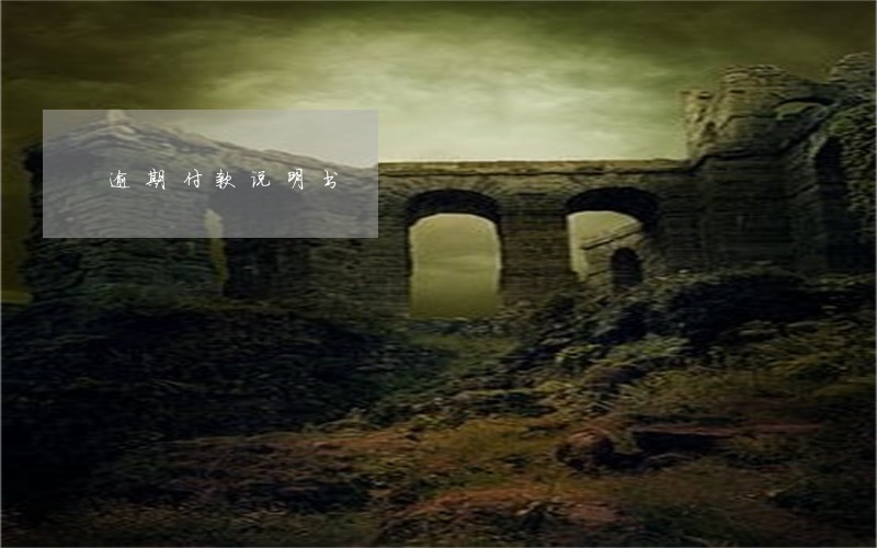逾期付款说明书 逾期付款说明书