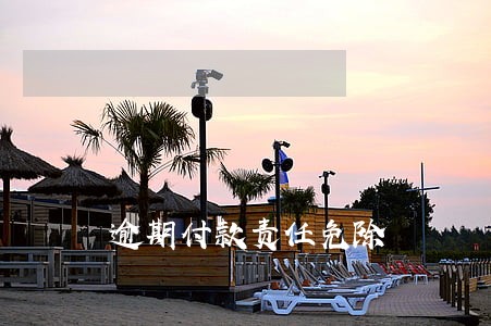 逾期付款责任免除 逾期付款责任免除