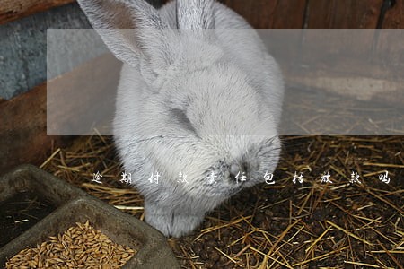 逾期付款责任包括放款吗 逾期付款责任包括放款吗