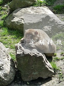 逾期付款责任合同条款 逾期付款责任合同条款
