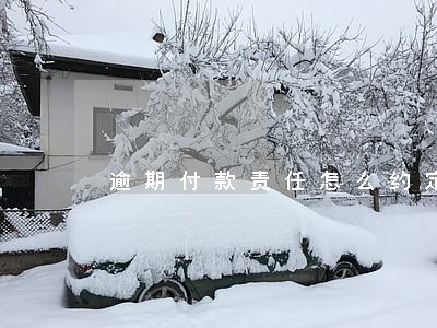 逾期付款责任怎么约定 逾期付款责任怎么约定