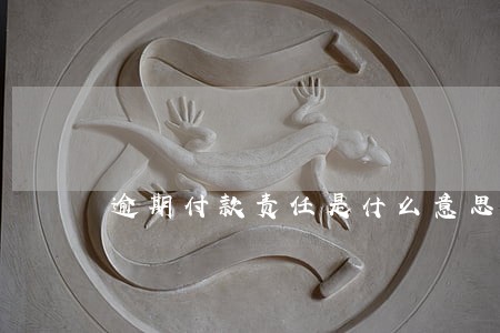 逾期付款责任是什么意思 逾期付款责任是什么意思