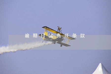 逾期付款责任条款 逾期付款责任条款