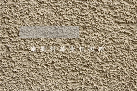 逾期付款责任风险 逾期付款责任风险