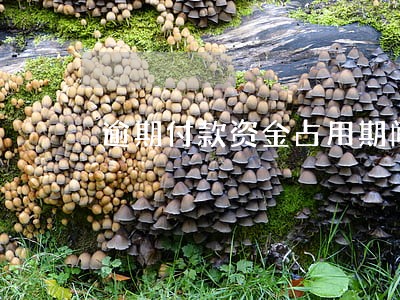逾期付款资金占用期间利息 逾期付款资金占用期间利息
