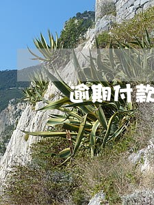 逾期付款赔偿几倍 逾期付款赔偿几倍