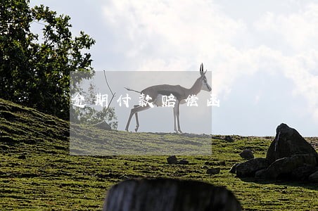 逾期付款赔偿函
