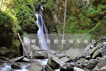 逾期付款赔偿损失条款 逾期付款赔偿损失条款