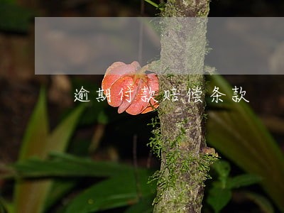 逾期付款赔偿条款