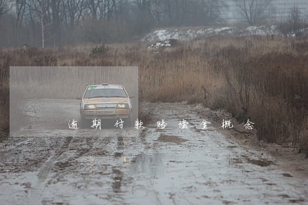 逾期付款赔偿金概念 逾期付款赔偿金概念