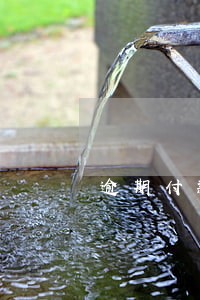 逾期付款赔偿金次日是节假日 逾期付款赔偿金次日是节假日