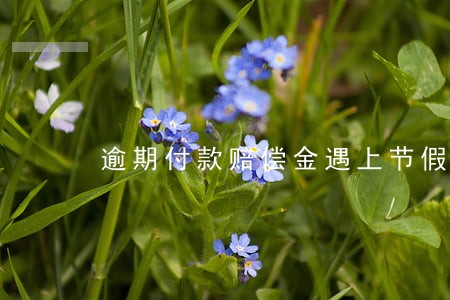 逾期付款赔偿金遇上节假日 逾期付款赔偿金遇上节假日