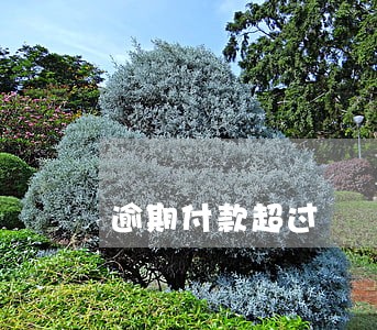 逾期付款超过 逾期付款超过