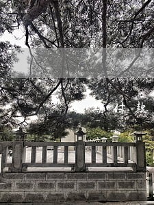 逾期付款超过十年的诉讼时效