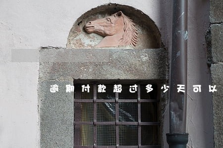 逾期付款超过多少天可以停工