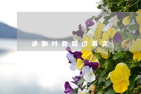 逾期付款超过英文 逾期付款超过英文