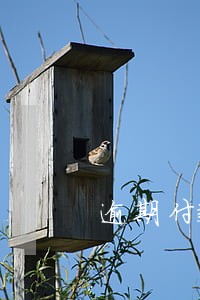 逾期付款车被拖走 逾期付款车被拖走