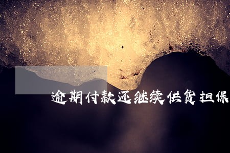 逾期付款还继续供货担保人责任 逾期付款还继续供货担保人责任