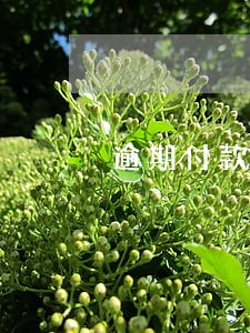 逾期付款违法吗 逾期付款违法吗