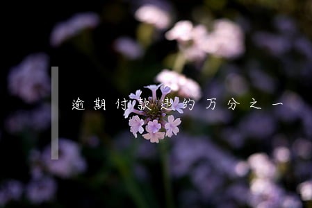 逾期付款违约万分之一