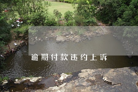 逾期付款违约上诉