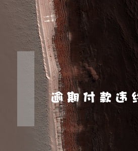 逾期付款违约利息如何入账 逾期付款违约利息如何入账