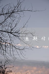 逾期付款违约合同条款 逾期付款违约合同条款