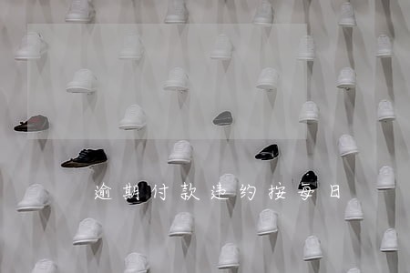 逾期付款违约按每日 逾期付款违约按每日