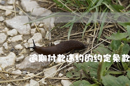 逾期付款违约的约定条款 逾期付款违约的约定条款