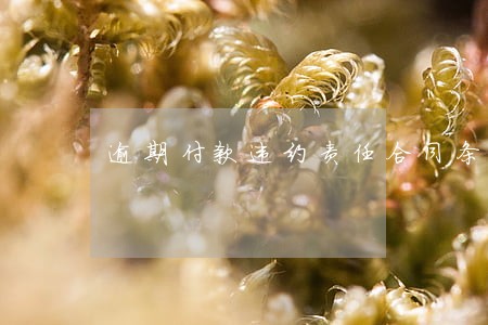 逾期付款违约责任合同条款 逾期付款违约责任合同条款