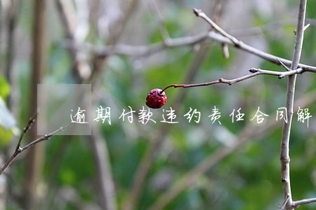 逾期付款违约责任合同解除 逾期付款违约责任合同解除