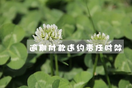 逾期付款违约责任时效 逾期付款违约责任时效