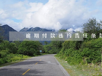 逾期付款违约责任条款样版 逾期付款违约责任条款样版