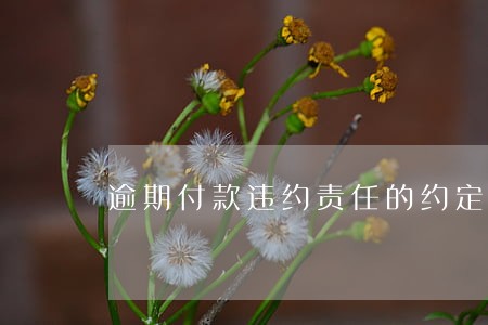 逾期付款违约责任的约定 逾期付款违约责任的约定