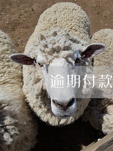 逾期付款违约责任约定 逾期付款违约责任约定