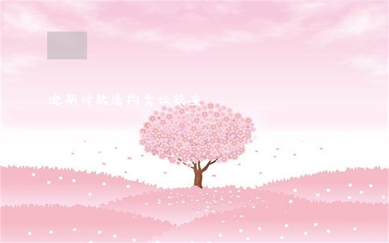 逾期付款违约责任较重 逾期付款违约责任较重