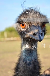 逾期付款违约赔偿 逾期付款违约赔偿