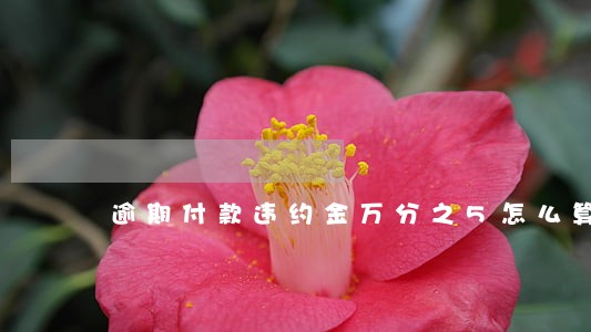 逾期付款违约金万分之5怎么算 逾期付款违约金万分之5怎么算