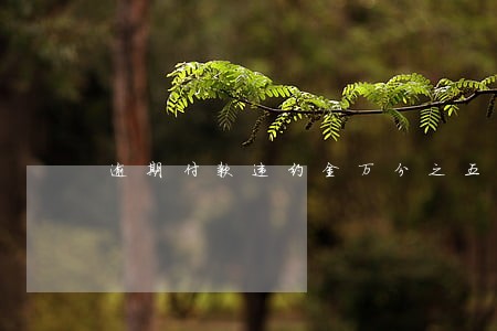 逾期付款违约金万分之五 逾期付款违约金万分之五