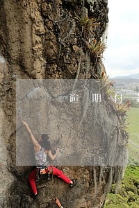 逾期付款违约金与利息损失 逾期付款违约金与利息损失