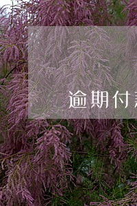 逾期付款违约金与利息损失区别 逾期付款违约金与利息损失区别