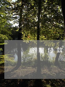 逾期付款违约金与合同违约金 逾期付款违约金与合同违约金