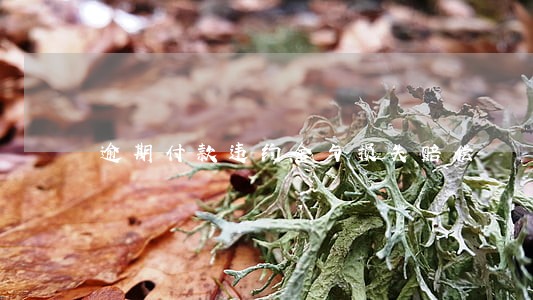 逾期付款违约金与损失赔偿 逾期付款违约金与损失赔偿