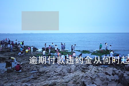 逾期付款违约金从何时起算 逾期付款违约金从何时起算