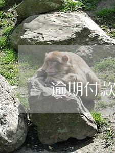 逾期付款违约金公报案例