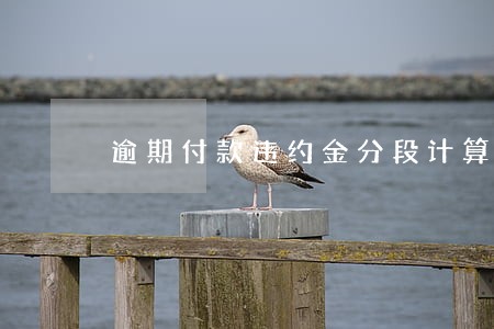 逾期付款违约金分段计算