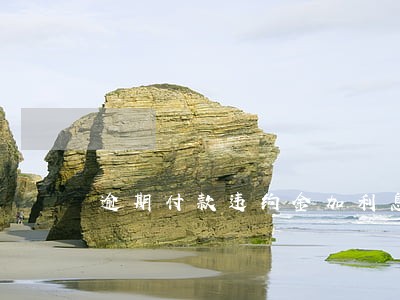 逾期付款违约金加利息之合 逾期付款违约金加利息之合