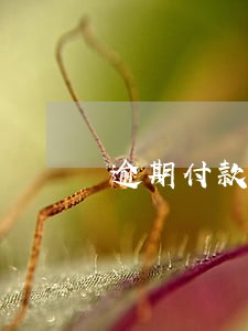 逾期付款违约金参照罚息 逾期付款违约金参照罚息